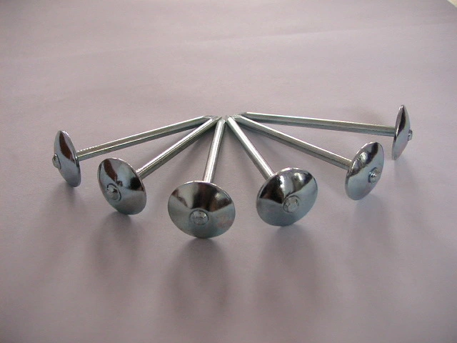 Umbrella Head Twist Shank Galvanized Roofing Nail (BWG9*3&quot;)