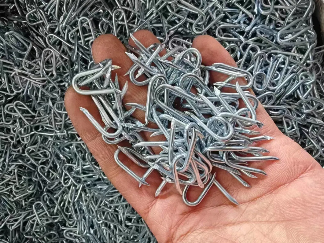 Hardened Steel Nail Galvanized Hot Sale U Type Nails Fence Staples