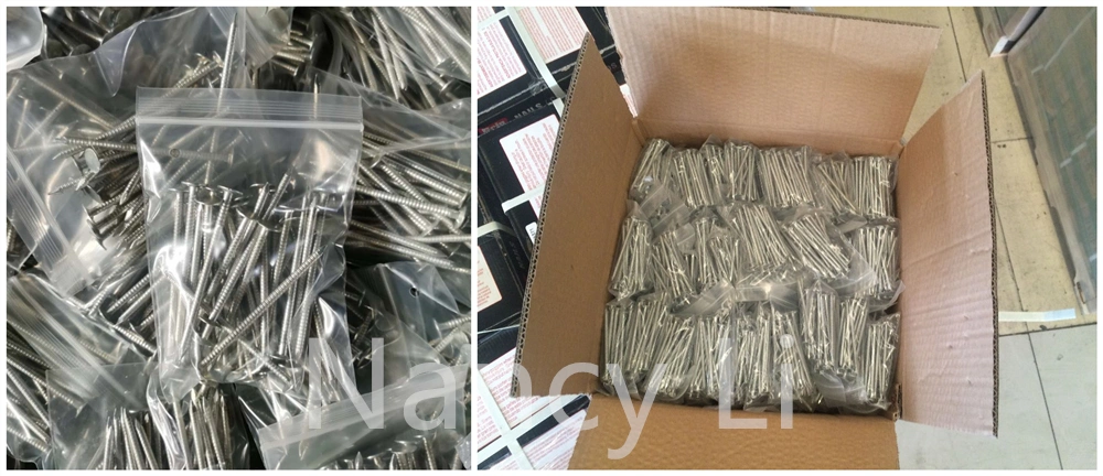 Q195/Q235 Big Flat Head Clout Nails Galvanized Roof Nail 100PCS/Bag