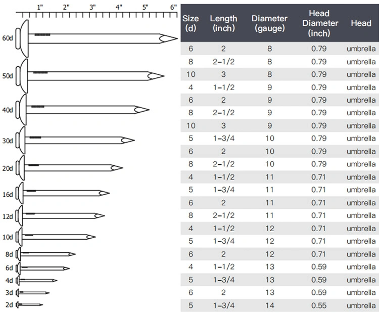Umbrella Head Galvanized Roofing Nails/Iron Roofing Nails
