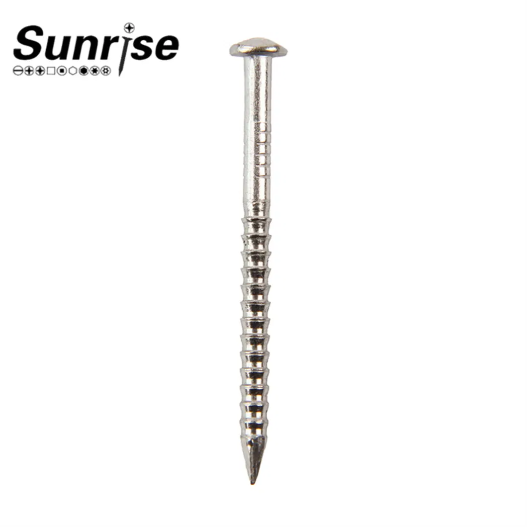 Various Head Types Stainless Steel Loose Nails Screws