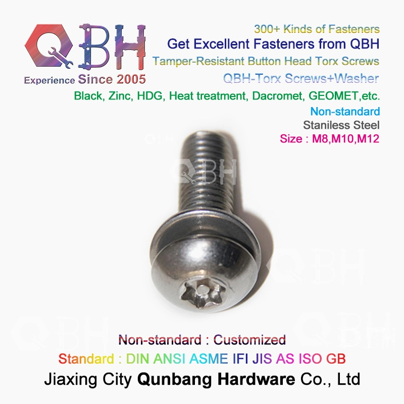 OEM Stainless Steel Ss 304 316 Flower Word Torx Mushroom Button Head Tamper-Resistant Machine Security Screw with Flat/Spring Plain Washers