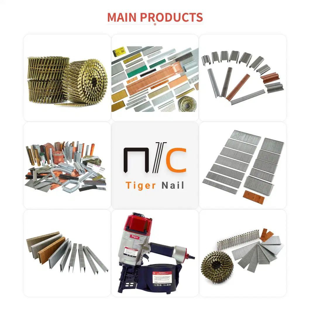 School Manual Tiger Corruagted Carton Pallet China Nail Staple E Series Fence