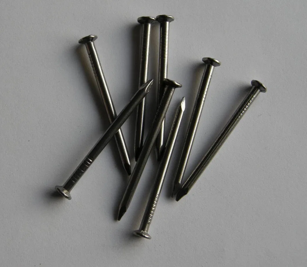 Steel Nail Made in China Factory Price Flat Head Common Nails Iron Wire Nail