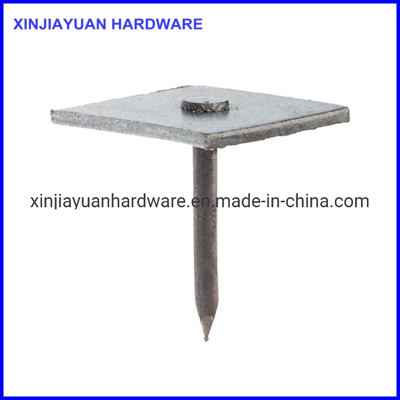 Ring Shank Roofing Nails Masonry Steel Nail Metal Round Cap