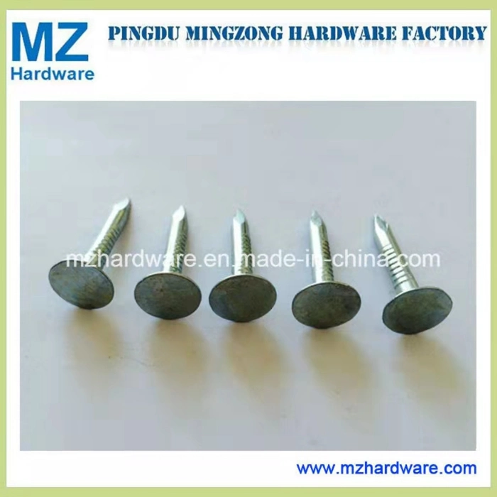 1&quot;2&quot; 3&quot; 8g/9g Big Head Flat Head Clout Roofing Nail Electro-Galvanized Clout Nail Roofing Screws for Building