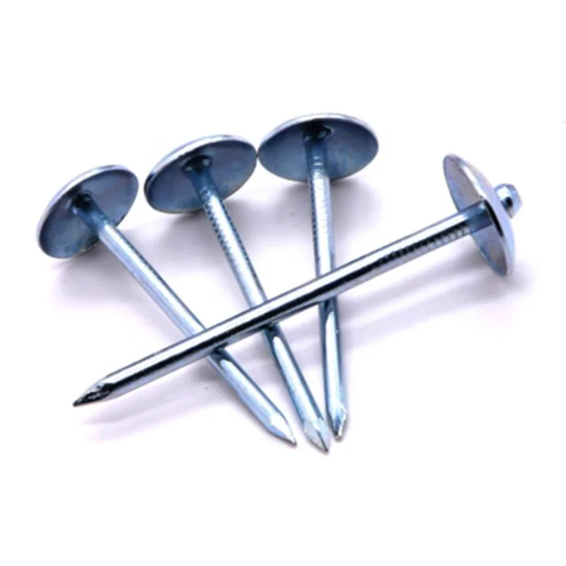 Galvanized Umbrella Head Roofing Nails with Smooth/Twist Shank by Low Price