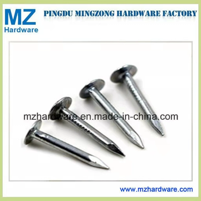 Big Flat Head Clout Roofing Iron Nail with Flat Head for Construction and Building