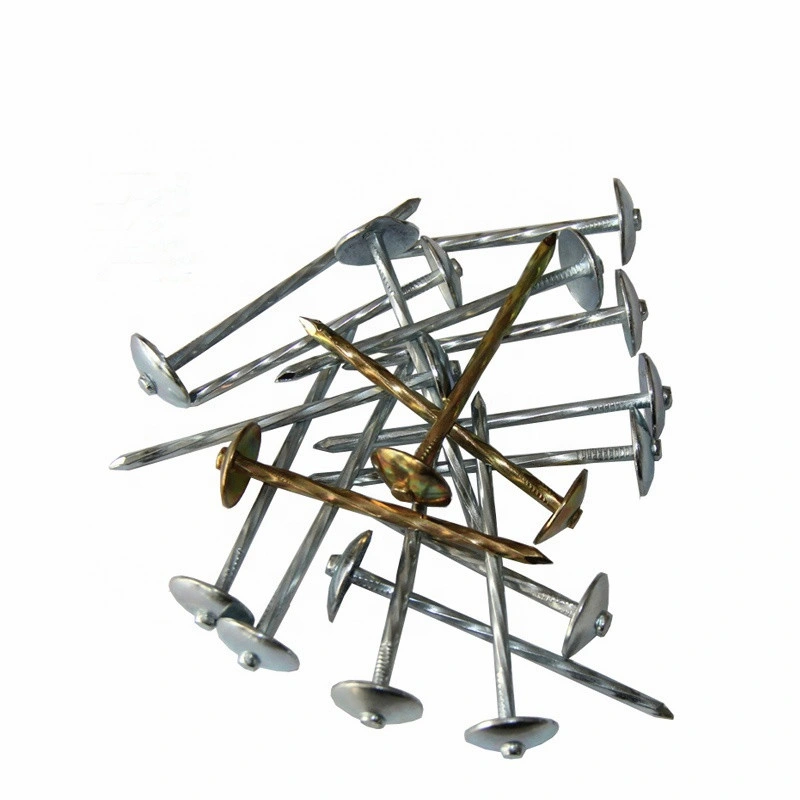 Manufacturer Supply Good Quality and Best Price Umbrella Roofing Nails