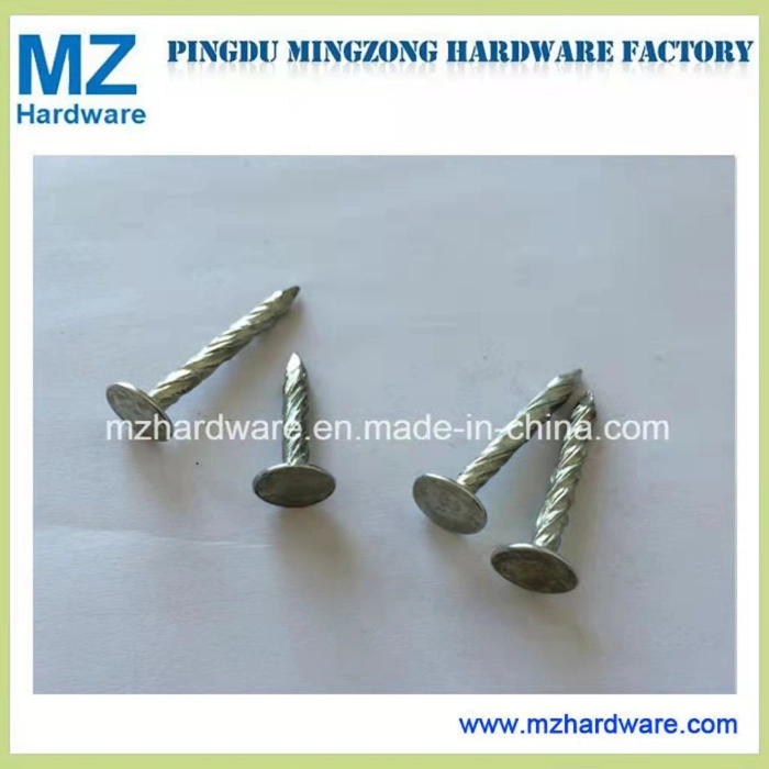 Big Flat Head Clout Roofing Iron Nail with Flat Head for Construction and Building