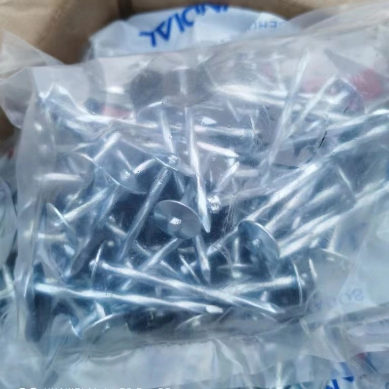 Twist Umbrella Roofing Nails /Roofing Nails with Washer2&quot; 2.5&quot; 3&quot; 9g