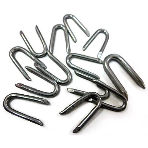 Galvanized Polished/Barbed U Staple Nail/U Fence Nail/U Shape Nail for Fengcing Building