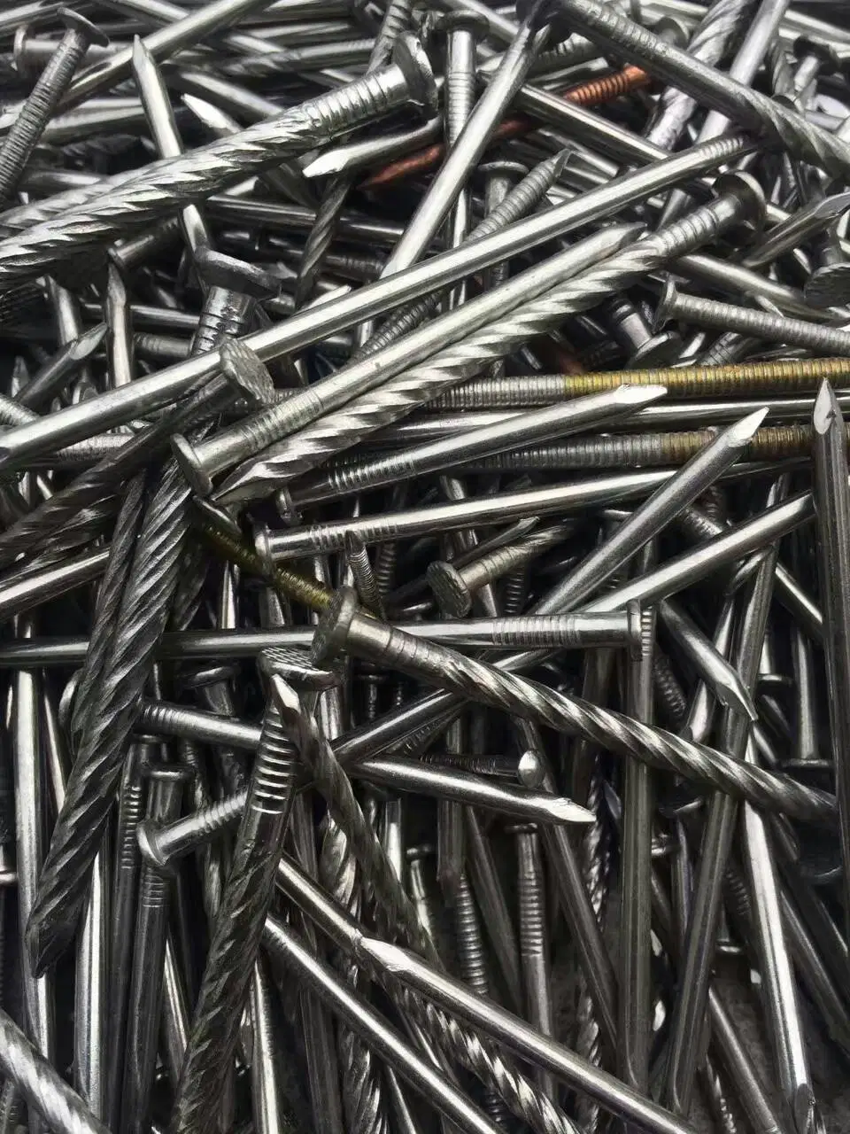 Ss 304 Stainless Steel Nail