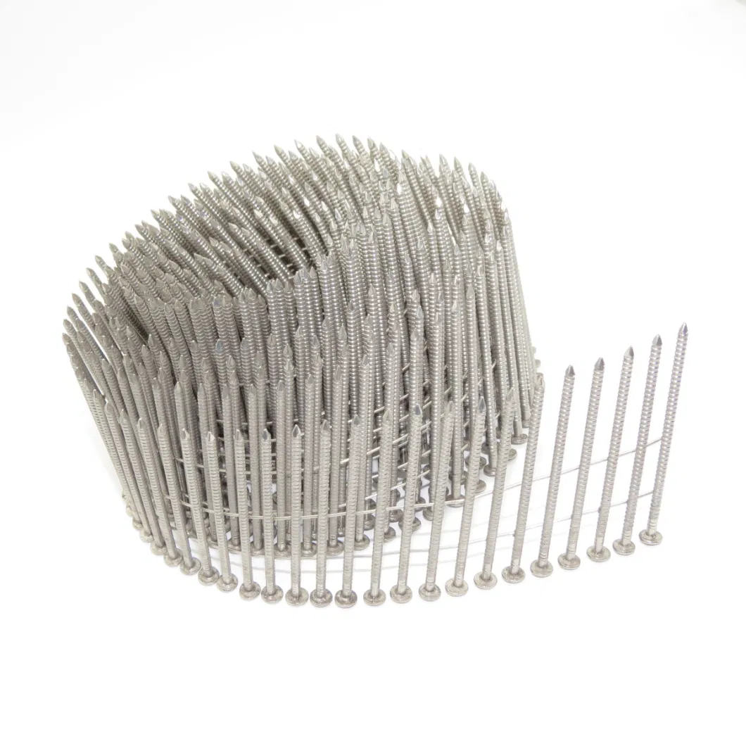 High Quality Stainless Steel Collated Coil Nails