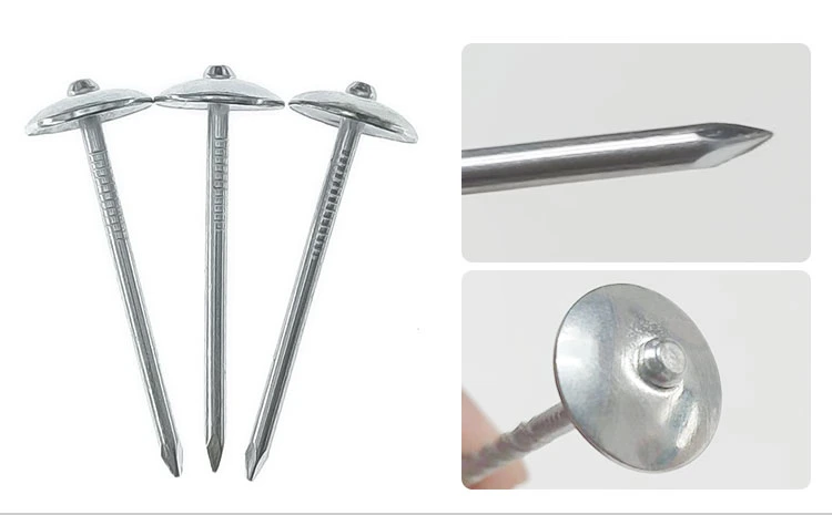 Umbrella Head Galvanized Roofing Nails/Iron Roofing Nails