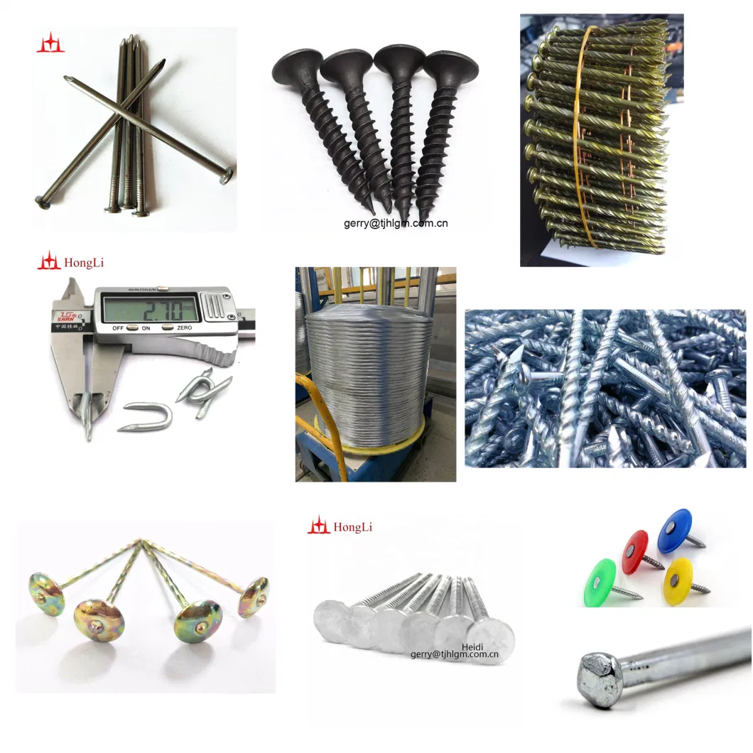 Electric Galvanized Metal Square Cap Nail Common /Steel /Iron / Wire /Coil /Concrete /Roofing / Pallet /Hardware/Framing /Spiral Nails