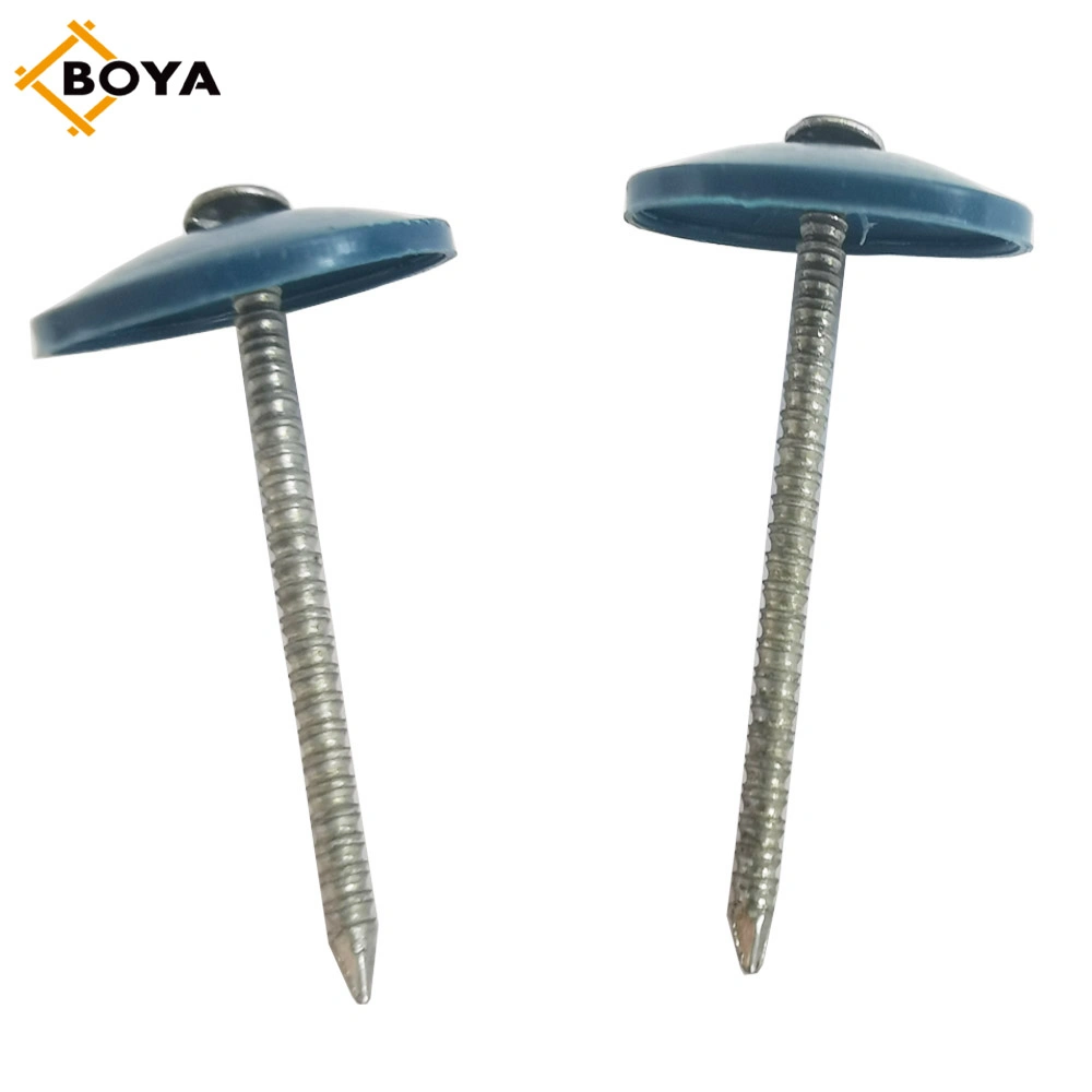 Galvanized 11g Big Head Plastic Cap Ring Roofing Nails