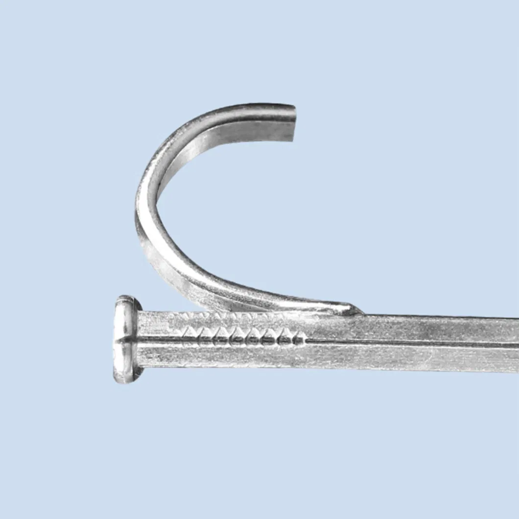 Building Galvanized Zinc R-Type Steel Pipe Hook Square Shank Nails