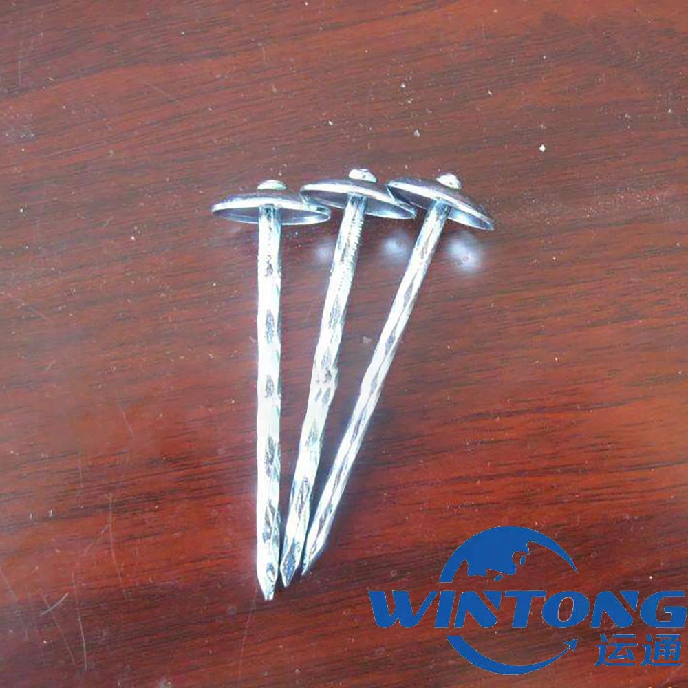 Electro Galvanized/ Big Flat Head Clout /Polishing Spiral Roofing Nails