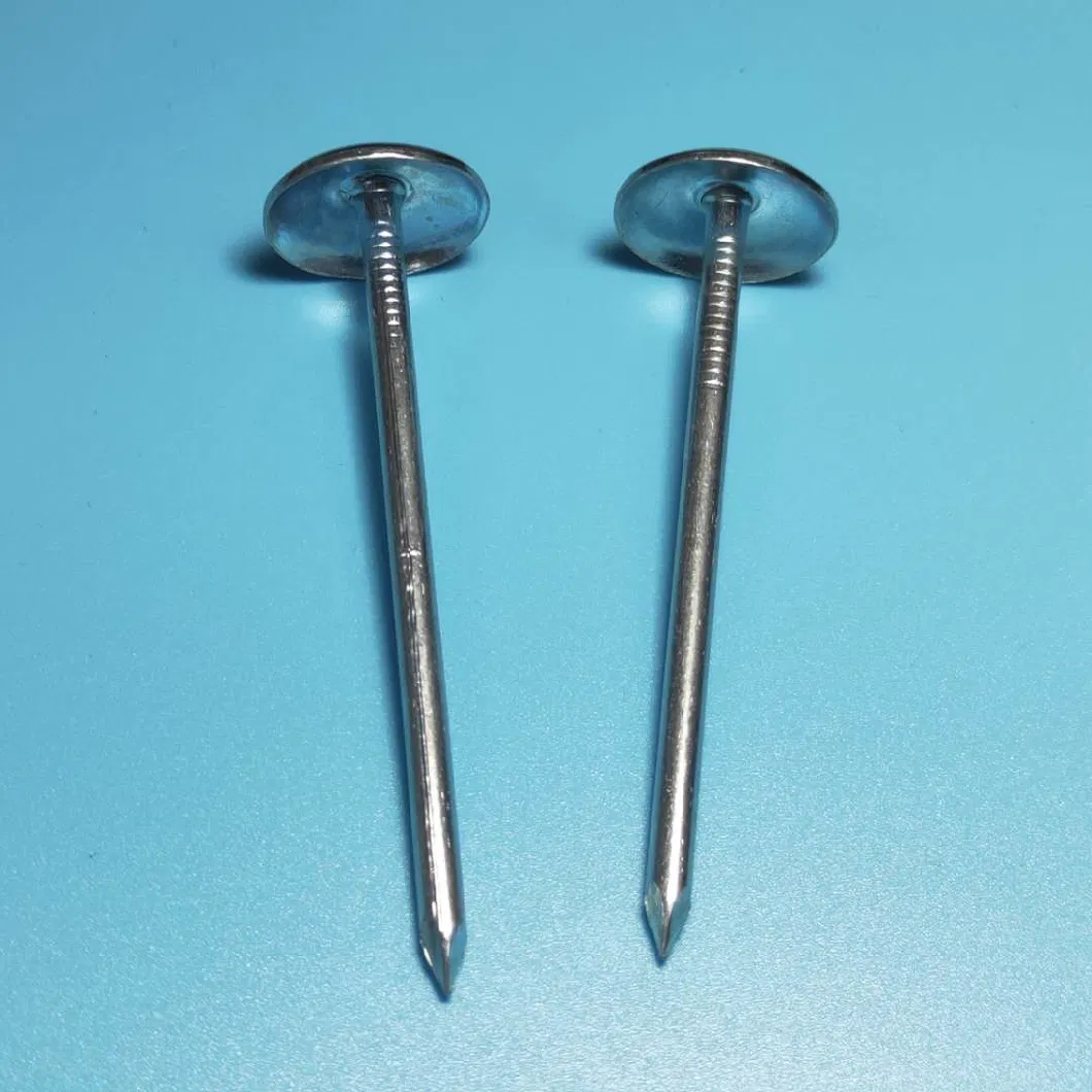 Bwg9 X 2.5 Inch Twisted Umbrella Head Roofing Nails