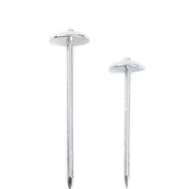 Hot Sale Galvanized Umbrella Head Roofing Nails