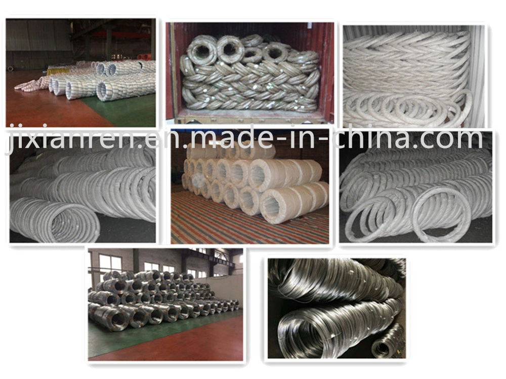 Common Nail/Building Nail/Wire Nail/Construction Nail/Iron Nail/Steel Nail