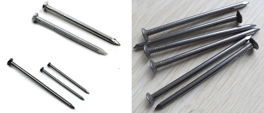 Free Samples Steel Coil Nails for Wooden Pallet Screw Shank Nail