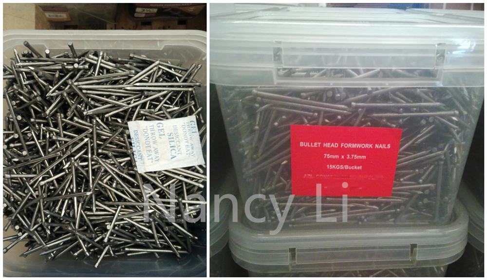 Q195/Q235 Hot Dipped Galvanized Lost Head Nails Brad Nails 20kg/Box