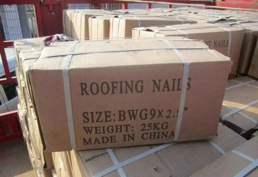 Expert Standard Galvanized Roofing /Concrete /Clout /Wire Nails