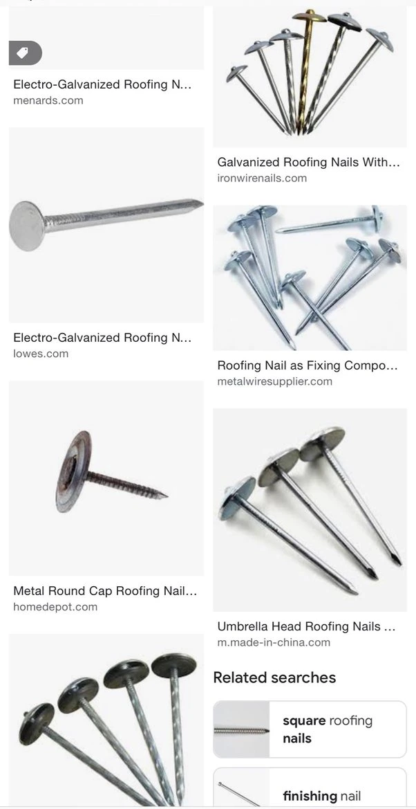 Galvanized Smooth/Twisted Shank Umbrella Head Roofing Nails at Good Price