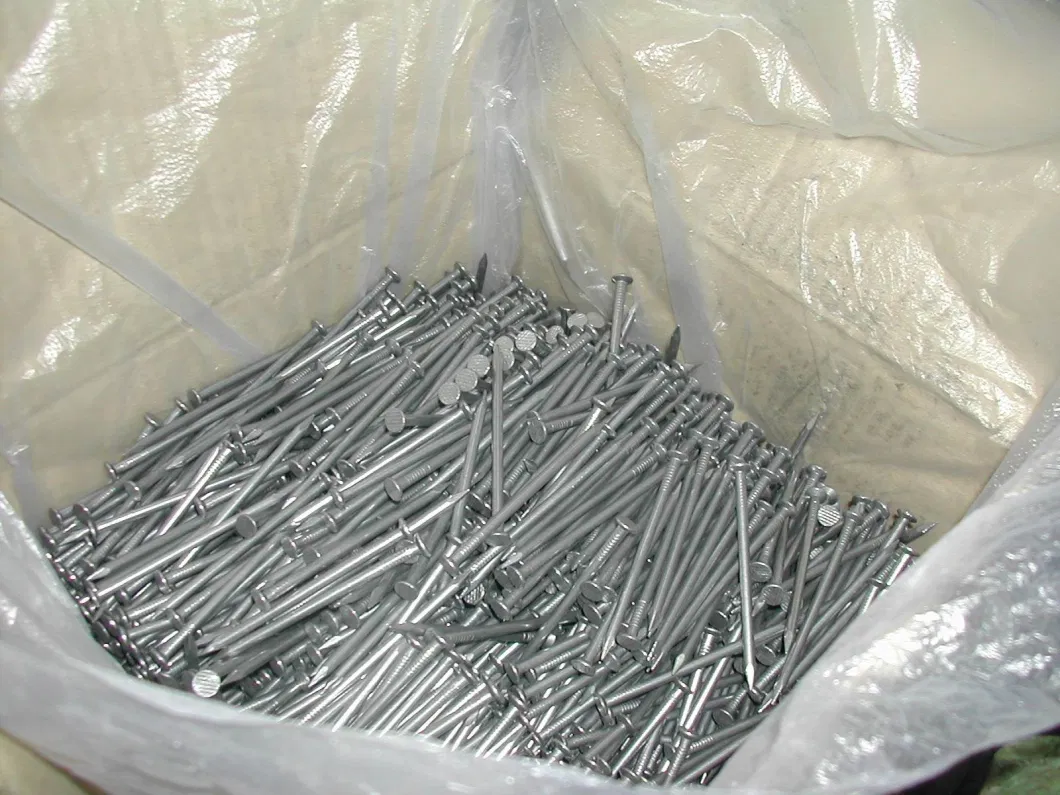 Q195 Good Price Polished Nail/Galvanized Common Iron Nail/ Wire Nail/Wooden Nail/Roofing Nail/Concrete Nail for Construction 2&prime; &prime;