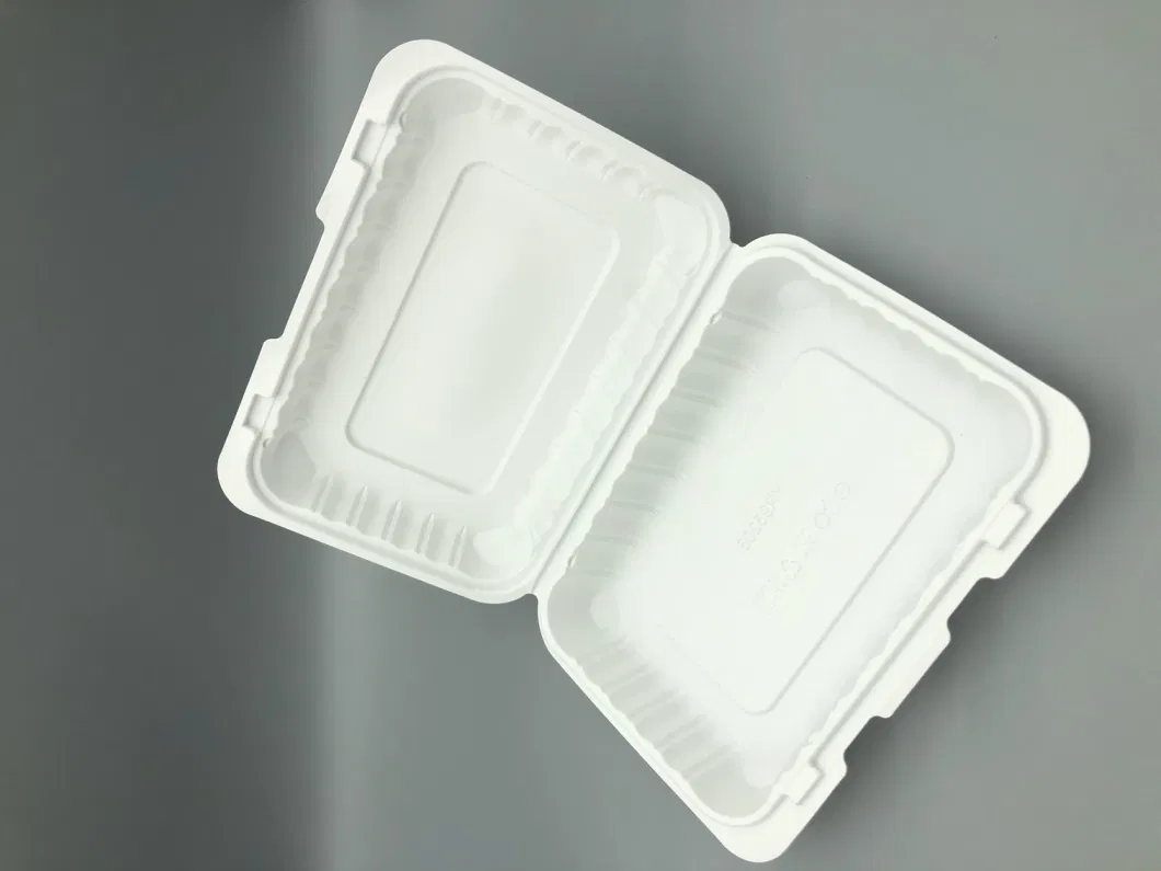 Hotel&amp; Restaurant Food Package Using Disposable Packaging Box