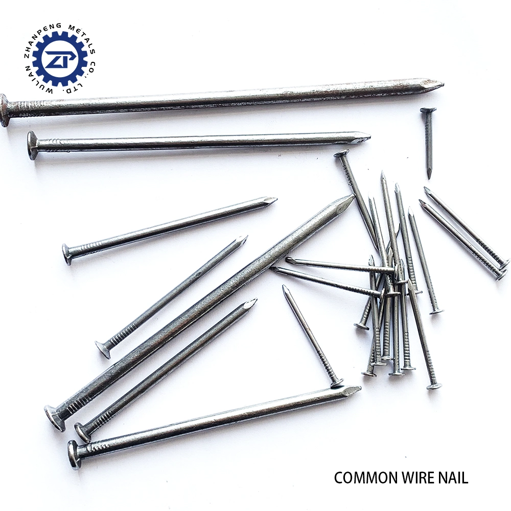 Eg Coil Roofing Nail with Color Chromate Coating 1 1/4&quot; Framing Nails