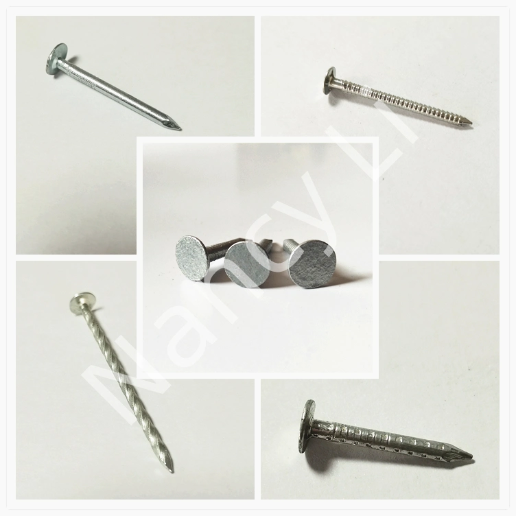 Q195/Q235 Big Flat Head Clout Nails Galvanized Roof Nail 100PCS/Bag