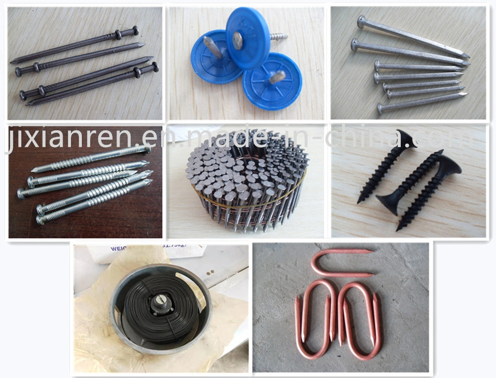 Duplex Nail/Double Head Nail/Two Head Nail/Iron Nail/Nail