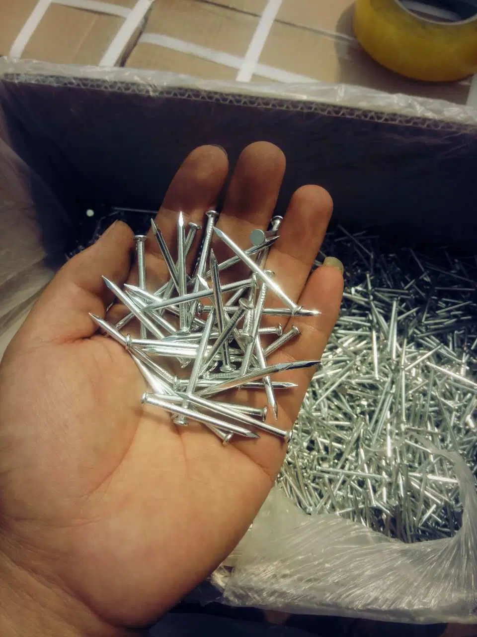 Steel Concrete Nails for Construction