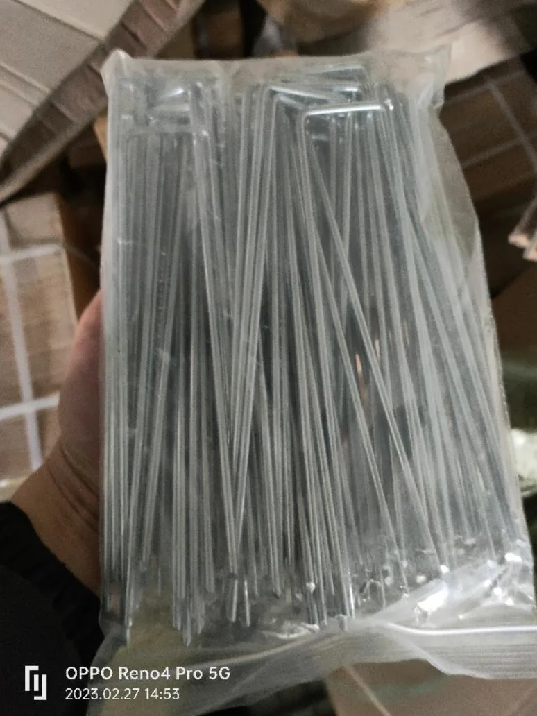 China Manufacturer U Type Nails Galvanized Netting Fencing Garden Ricoh Staples for Furniture