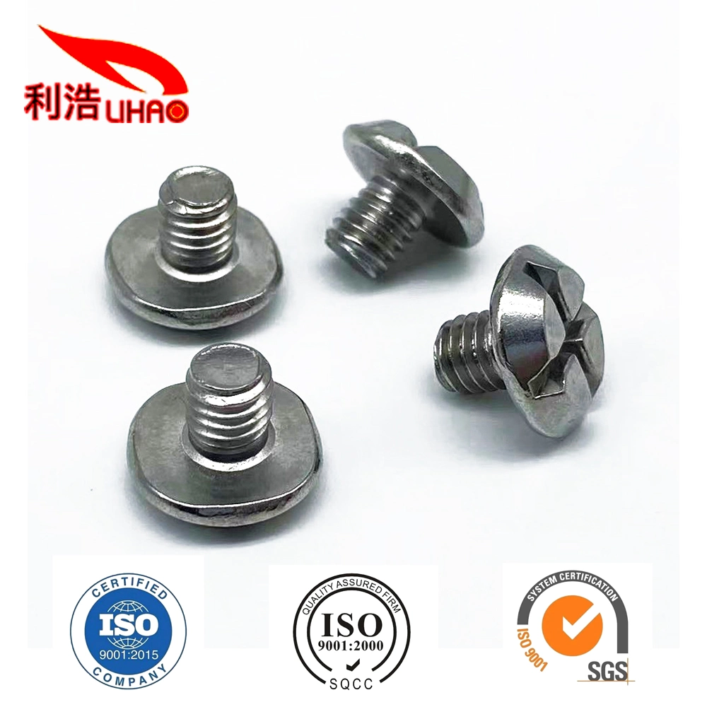 Chinese Hardware Manufacturing Stainless Steel Custom Head Machine Screw