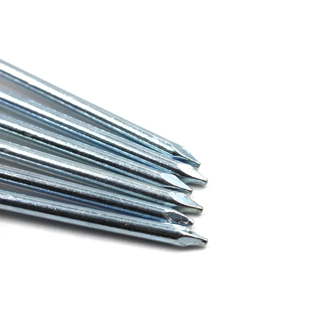 Polished Common Steel Nails