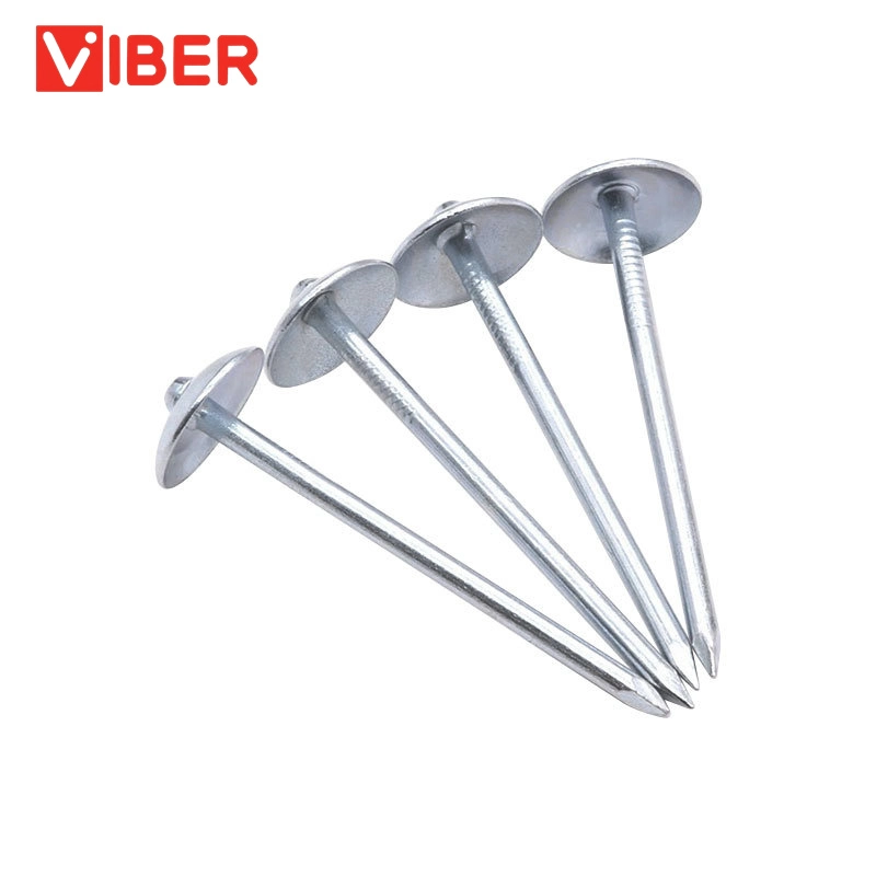 Q195 Galvanized Umbrella Head Smooth/Twist Shank Roofing Nails