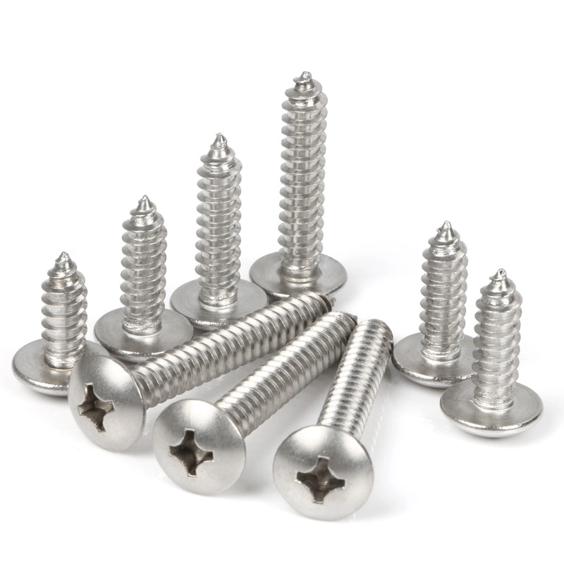 Stainless Steel 304 316 Tapping Screw Set Grub Screws Ss 304 DIN 7981 A2 A4 Pan Head Self Tapping Screws