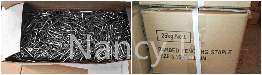 2.8X25mm Electro Galvanized Fencing Staples U Type Nails 500g Bag