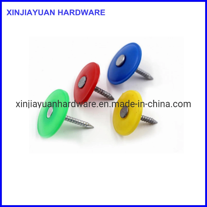 Blue or Red Plastic Round Cap Nail Concrete Steel Nail Diamond Point