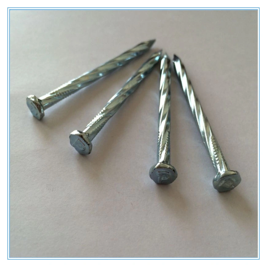 45# 55# 65# Electro/Galvanized Flat Head Concrete Steel Nail with Twist/Screw/Smooth Shank