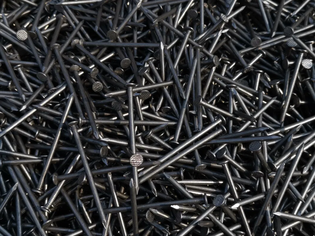 1 Kgs Per Box Common Round Iron Wire Nails