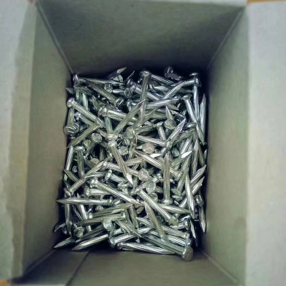 Steel Nails Concrete Nails Tianjin Factory Cheap Price