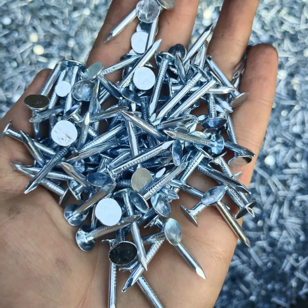 Roofing Big Flat Head Clout Nails Steel Nails From Tianjin China Factory