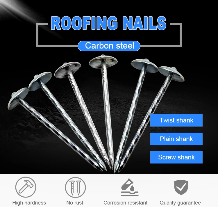 Twisted Shank Electro Galvanized Umbrella Roofing Nails