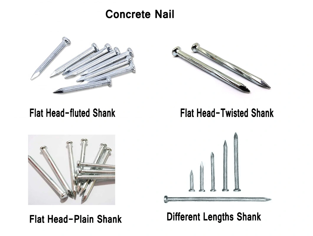 China Manufacturer Supply Steel Nail Plain/Twisted/Grooving Shank Blue Galvanized Concrete Nail