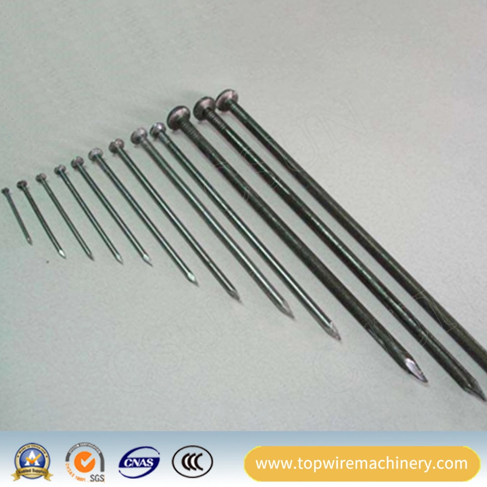 Galvanized/Polished Iron Stainless Steel Round Flat Head Common Wire Nail